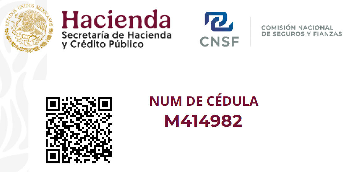 CNSF M414982 CNSF M414982